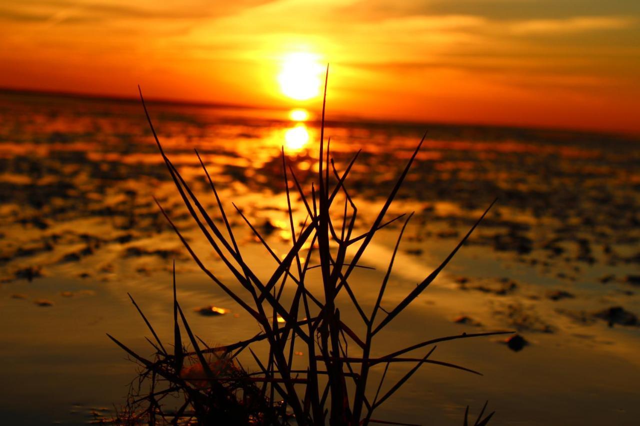 Kleiner Seestern Cuxhaven Zewnętrze zdjęcie