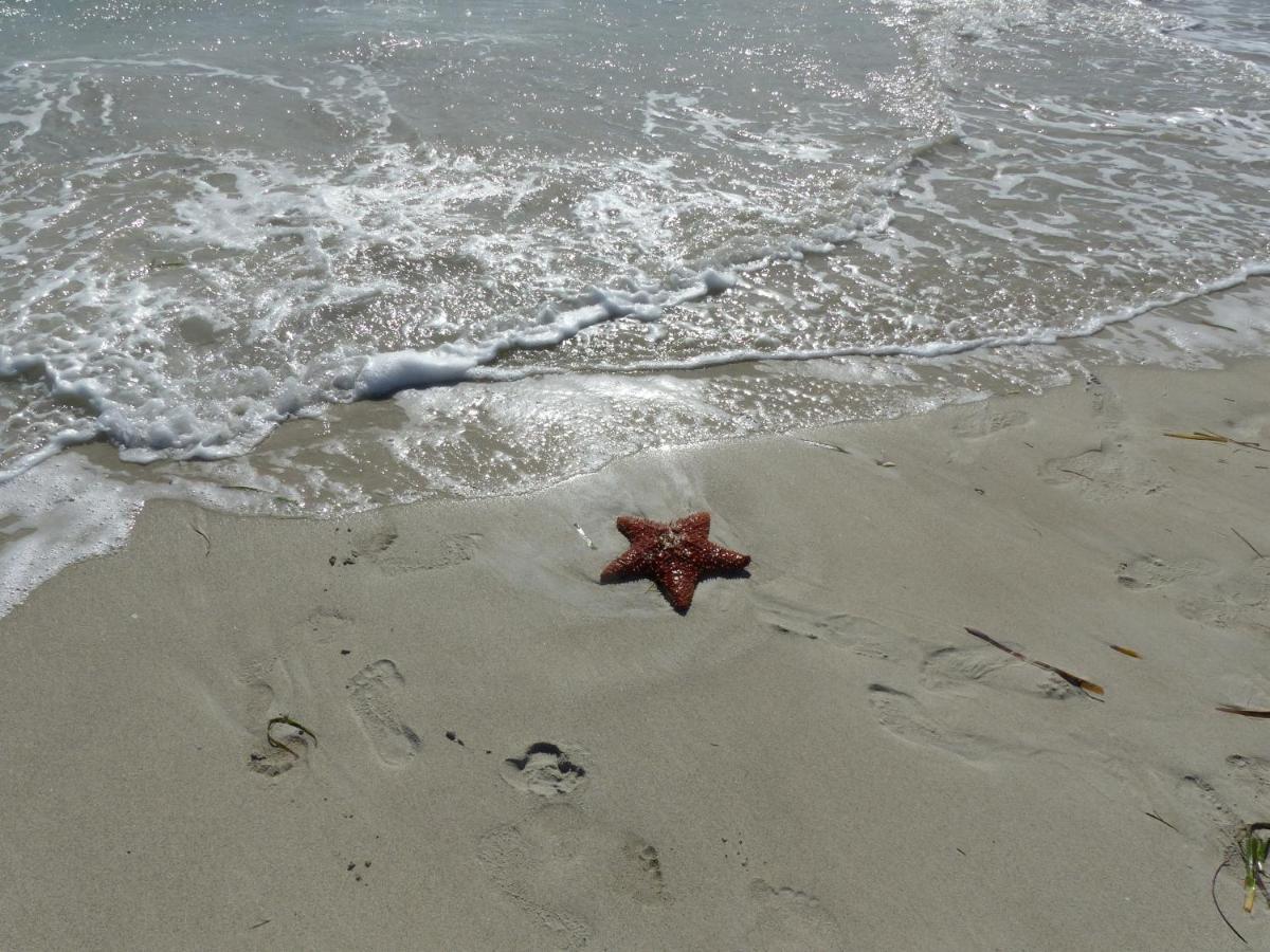 Kleiner Seestern Cuxhaven Zewnętrze zdjęcie